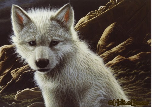 Får lyckotalet roulettebord Wolf Cub Abnormal
